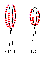 ���܂񂻂��@�ڂݒ��E��