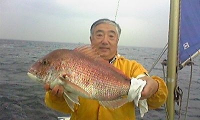 2009N12053.5KG ł傤
